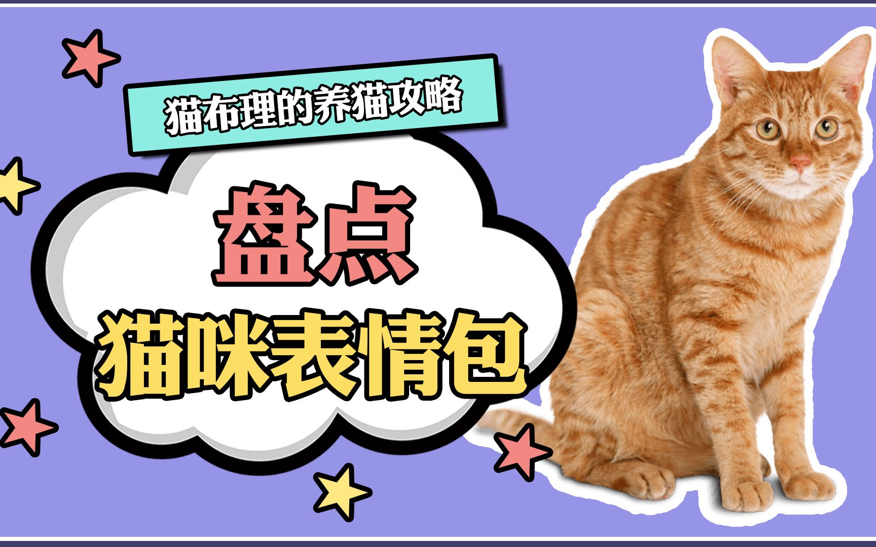 盘点一下猫咪表情包,你没准都用过!哔哩哔哩bilibili