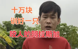 Video herunterladen: 十万块训好一只咬人的阿拉斯加？