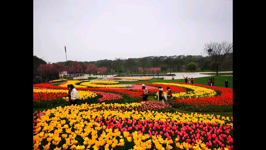 [图]2021女神节快乐