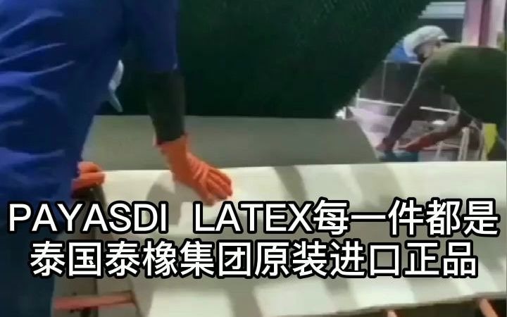 PAYASDI LATEX乳胶床垫 泰国泰橡集团原装进口正品哔哩哔哩bilibili