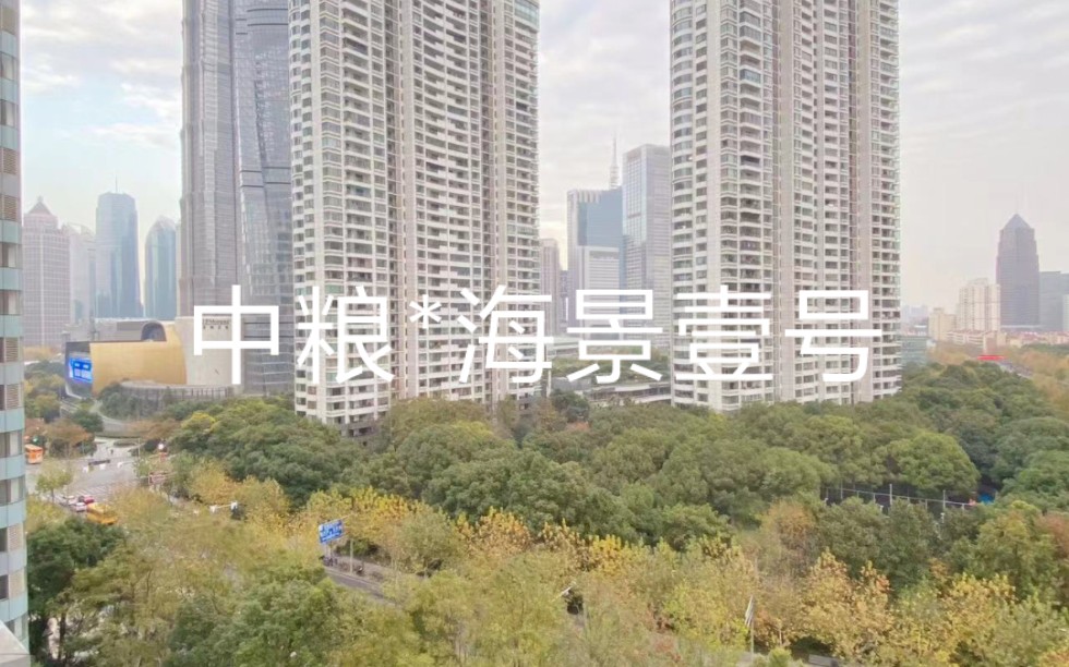 中粮海景壹号 拍卖图片