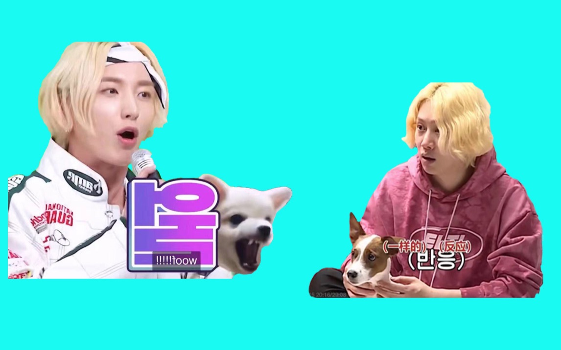 suju20蓝家的狗也是综艺sense精空儿起伏辣炒盖饭搞笑合集