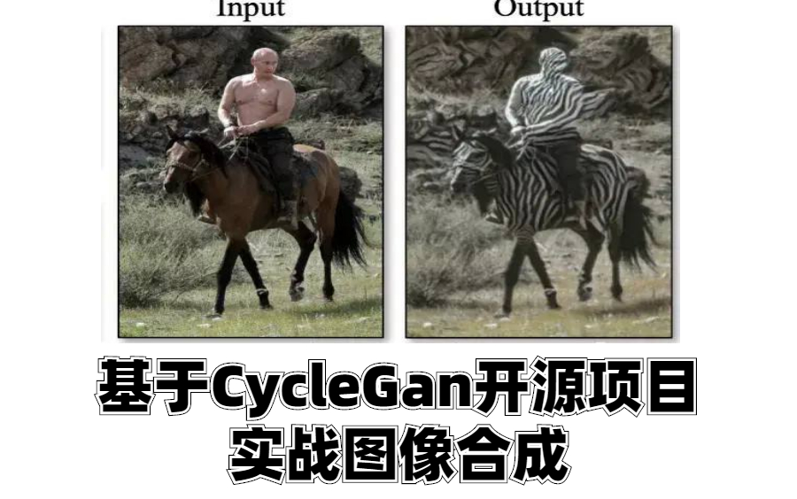 【眼见一定为实吗?详解图像合成背后的原理】基于CycleGan开源项目实战图像合成(深度学习/神经网络/计算机视觉/图像合成/GAN/Pytorch)哔哩哔哩...