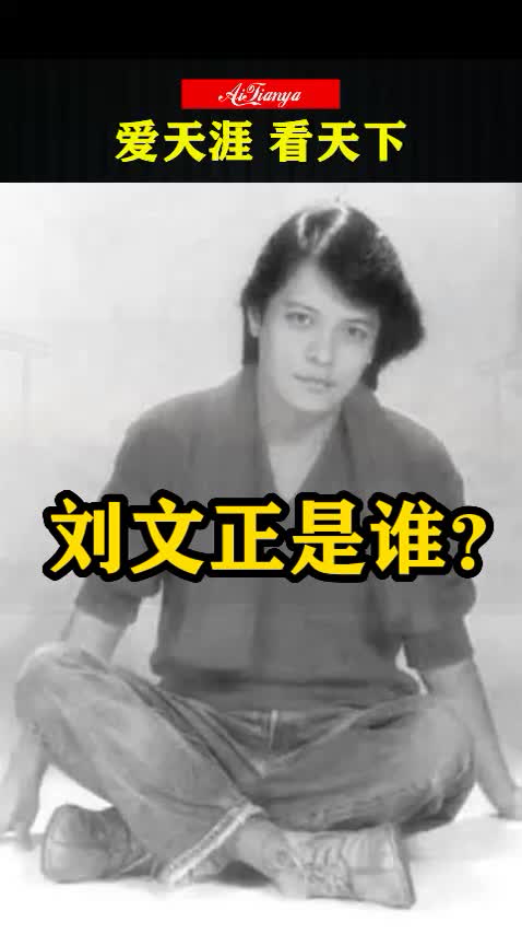 刘文正是谁?哔哩哔哩bilibili