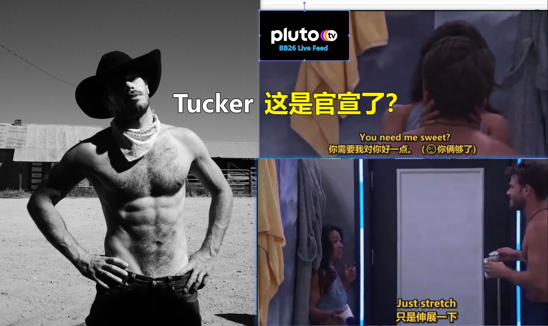 【Live Feed 中英字幕】Tucker这是官宣了?哔哩哔哩bilibili