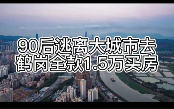 90后逃离大城市去鹤岗全款1.5万买房 #鹤岗 #房价 #90后 #互联网 #直播 #主播 #UP主 #带货 #楼市 #经济 #政策 #东北哔哩哔哩bilibili