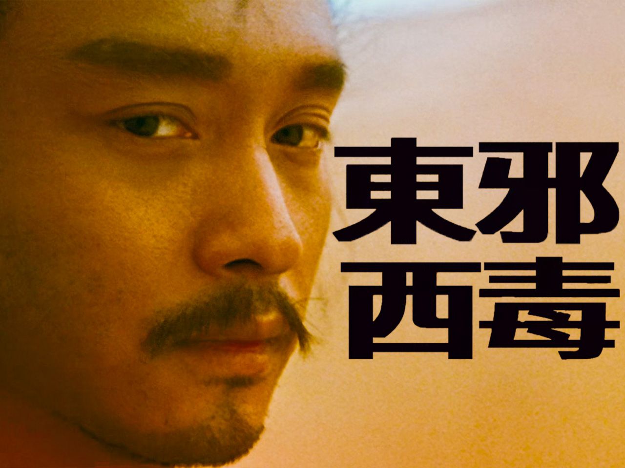 【东邪西毒】最疼痛的江湖!王家卫式的另类武侠,高分经典《东邪西毒》