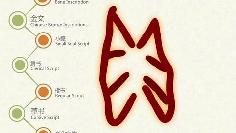 汉字演变之 胃 字 说文解字注 胃 榖府也 从肉 𡇒象形 哔哩哔哩