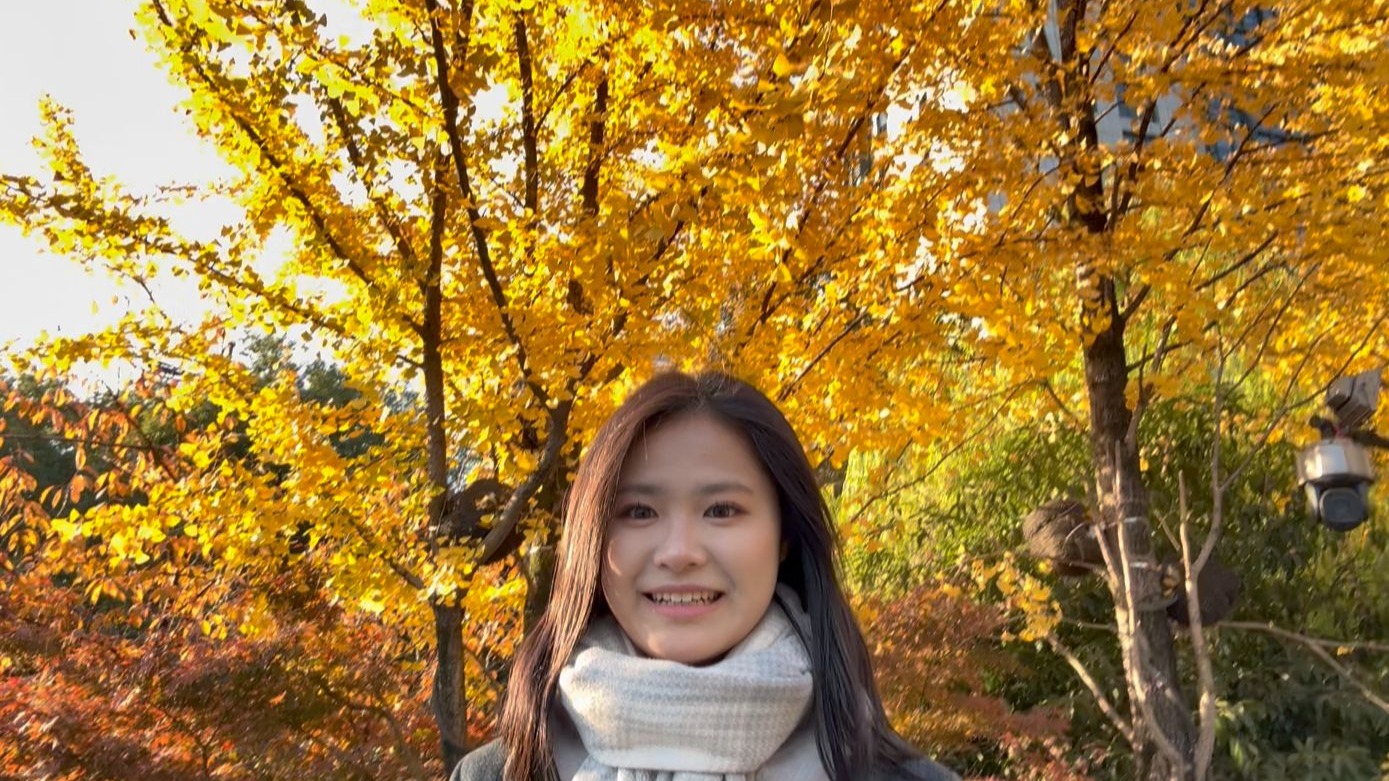 《不听姐姐言，芒果在眼前》