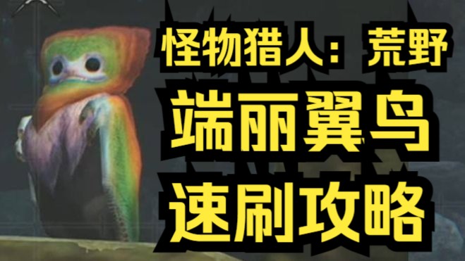 《怪物猎人：荒野》端丽翼鸟 速刷攻略