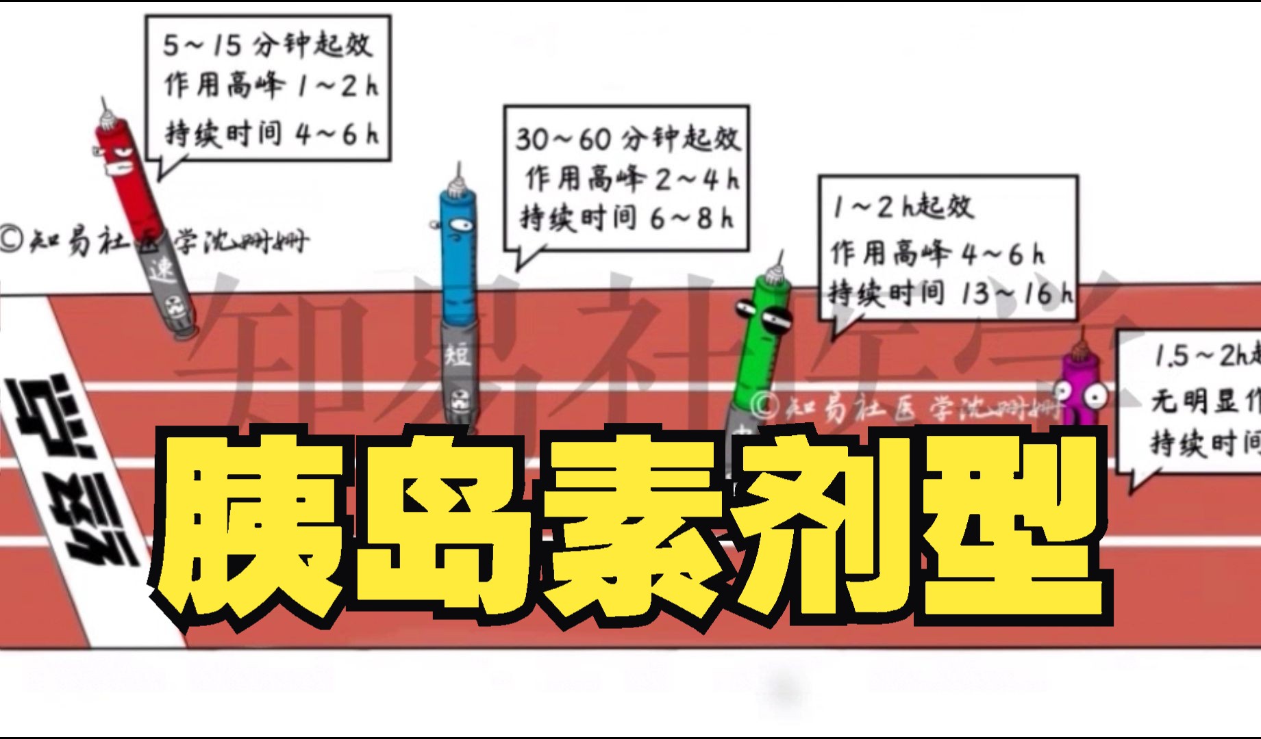 手绘精讲 | 胰岛素种类和剂型哔哩哔哩bilibili