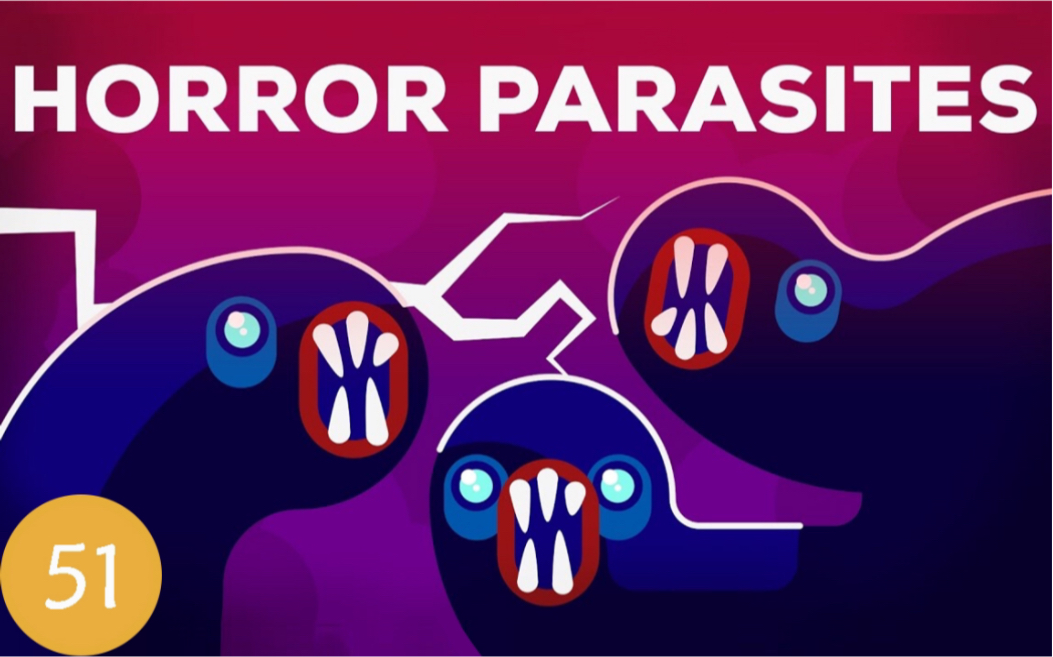 【Kurzgesagt】第51期:那些被人们忽视的热带疾病!The Most Gruesome Parasites Neglected哔哩哔哩bilibili