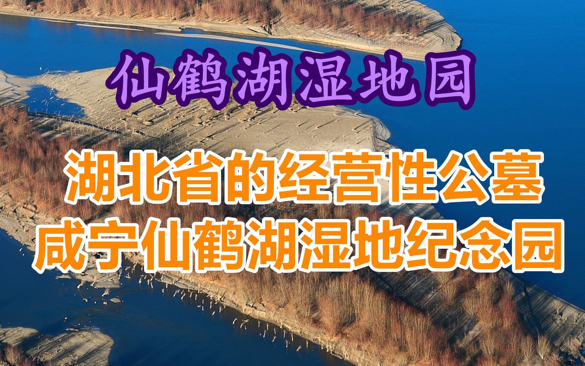 湖北武漢的墓地,湖北武漢仙鶴湖公墓價格