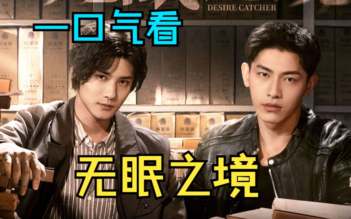 一口气听电视剧【无眠之境】超详细解说 分集剧情 郑业成 辛云来 等