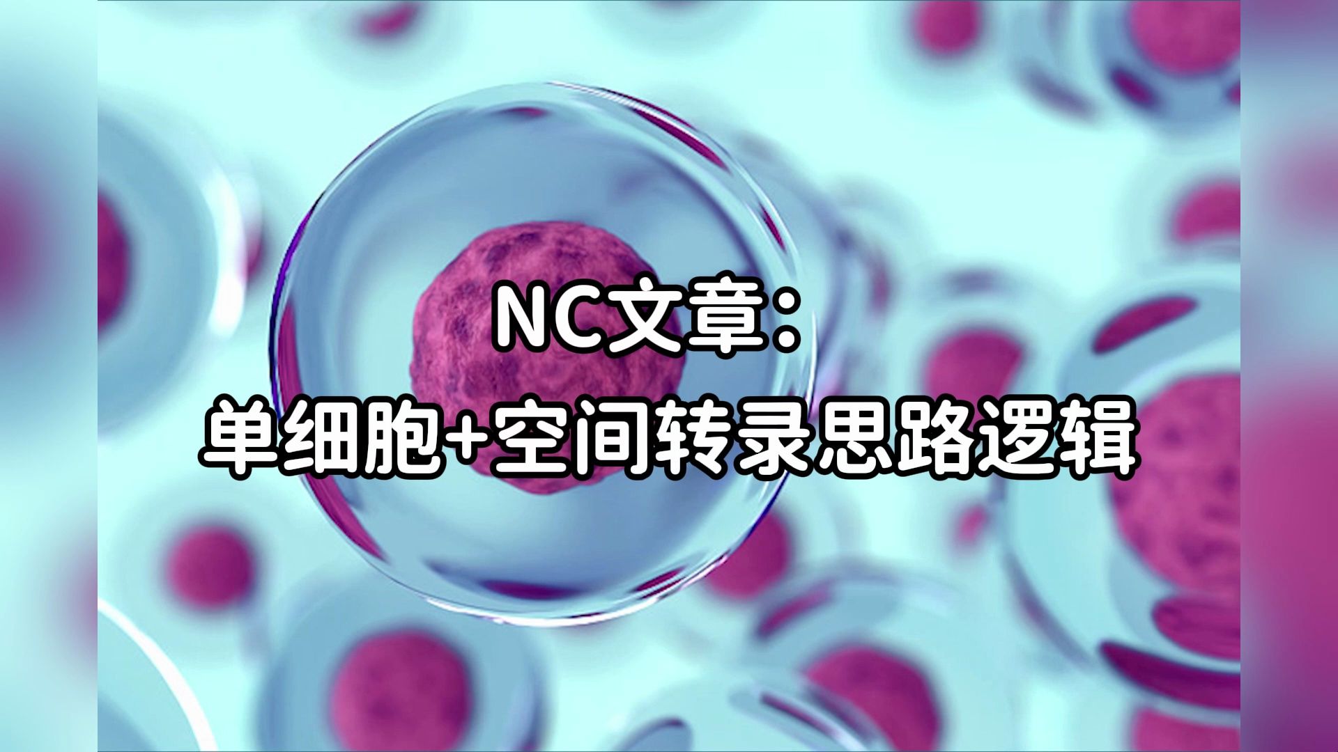 生信热点分享:NC文章:单细胞+空间转录思路逻辑哔哩哔哩bilibili