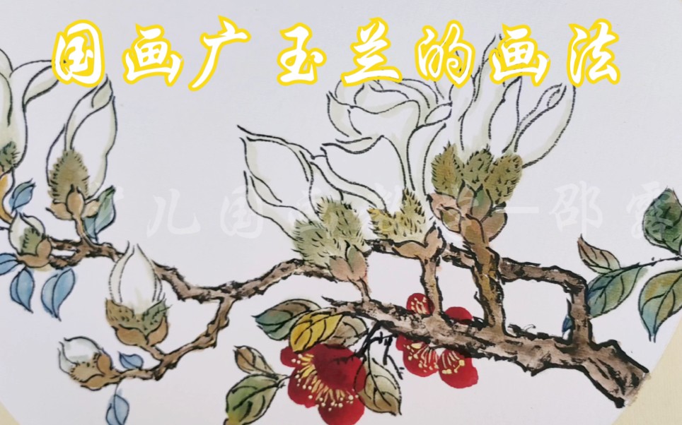 国画芥子园广玉兰的小写意画法哔哩哔哩bilibili