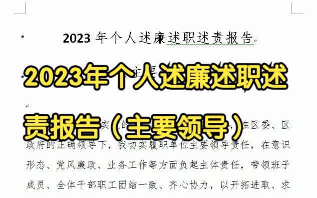 2023年个人述廉述职述责报告 (主要领导)哔哩哔哩bilibili