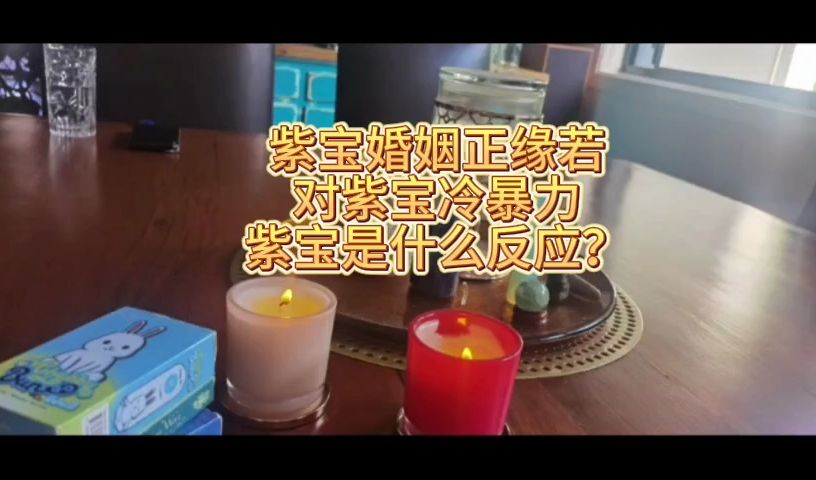 紫宝婚姻正缘若对紫宝冷暴力紫宝是什么反应?哔哩哔哩bilibili