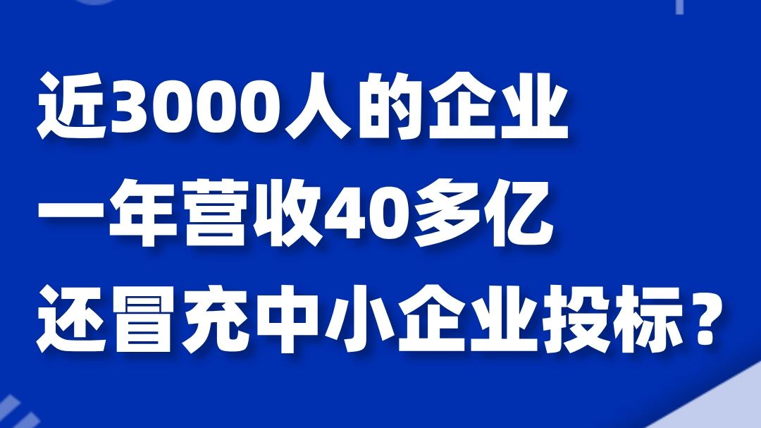 近3000人的企业,一年营收40多亿,还冒充中小企业投标?哔哩哔哩bilibili