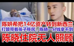 Download Video: 陈妍希把14亿资产转到新西兰，打算带着孩子移民，陈晓一分钱拿不到，陈晓住院无人照顾，CU内冷冰冰的陈妍希已经买了大片农场