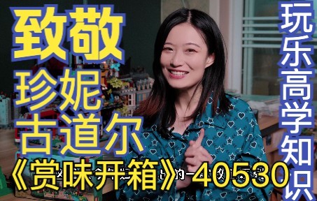 【小树】【赏味开箱】向伟大的博士致敬!乐高40530 致敬珍妮ⷥ䩁“尔哔哩哔哩bilibili