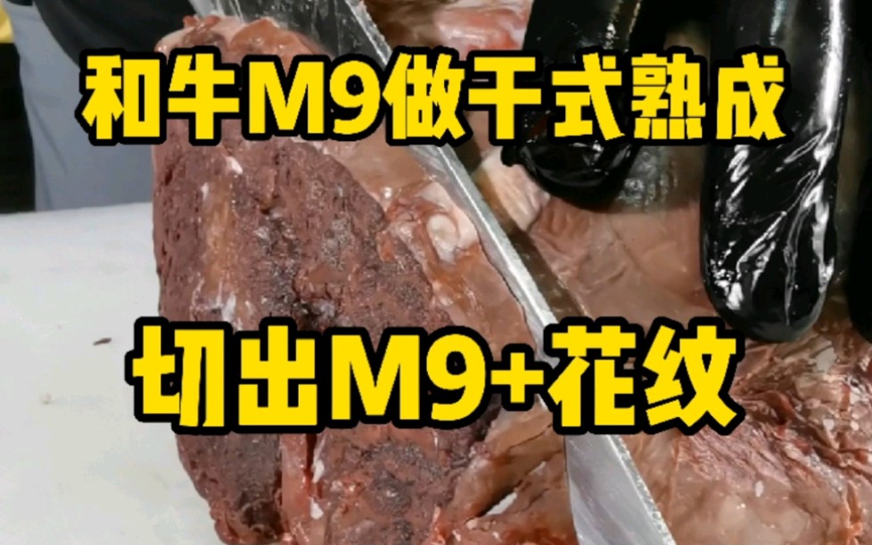 和牛M9眼肉芯做干式熟成哔哩哔哩bilibili