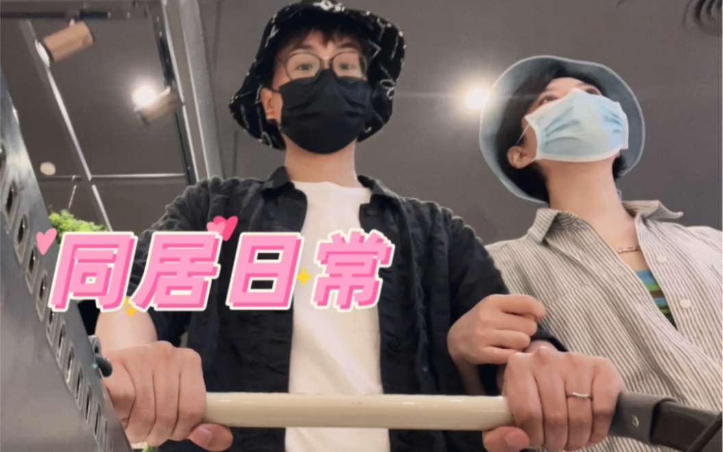 牛捉羊:鸭嘴兽休息日_哔哩哔哩_bilibili