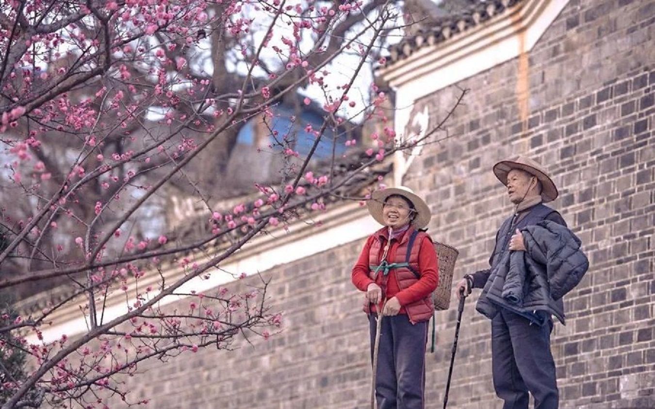 [图]这部黄渤周冬雨力推的纪录片来了，请准备好纸巾食用，几分钟看《四个春天》