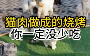 Download Video: 猫肉火腿肠，猫肉烧烤，你确定自己没吃过？为什么得癌症的人会那么多？这个视频都相互转告一下，这个社会的视频安全问题让人触目惊心。它们被迫营业，甚至是付出自己的生命