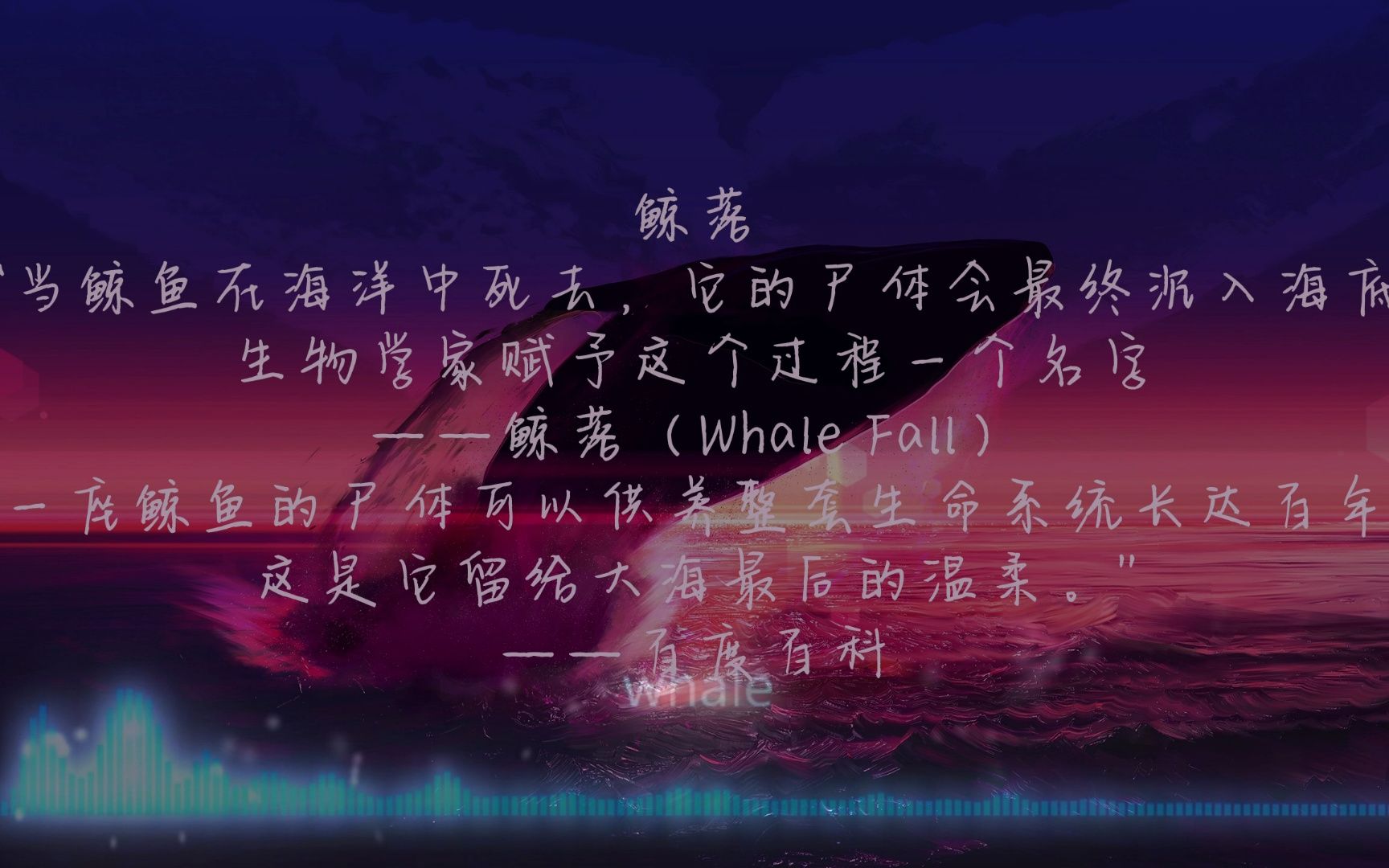 纯音推荐 《Whale》哔哩哔哩bilibili