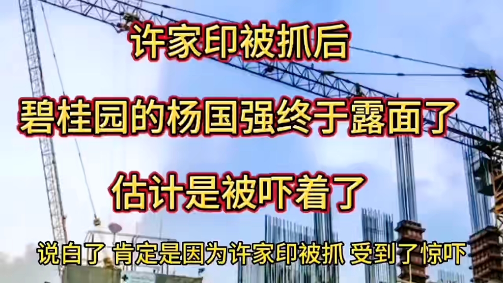 许家印被抓后,碧桂园的杨国强终于露面了,估计是被吓着了哔哩哔哩bilibili