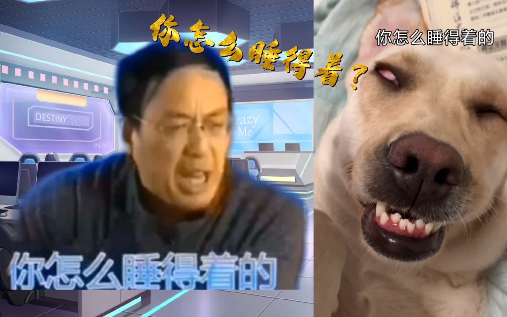 你这个年龄段你睡得着觉,有点出息没有?