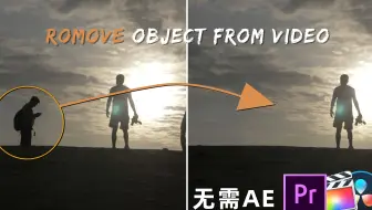 【教程】两分钟教你去掉视频中的路人甲