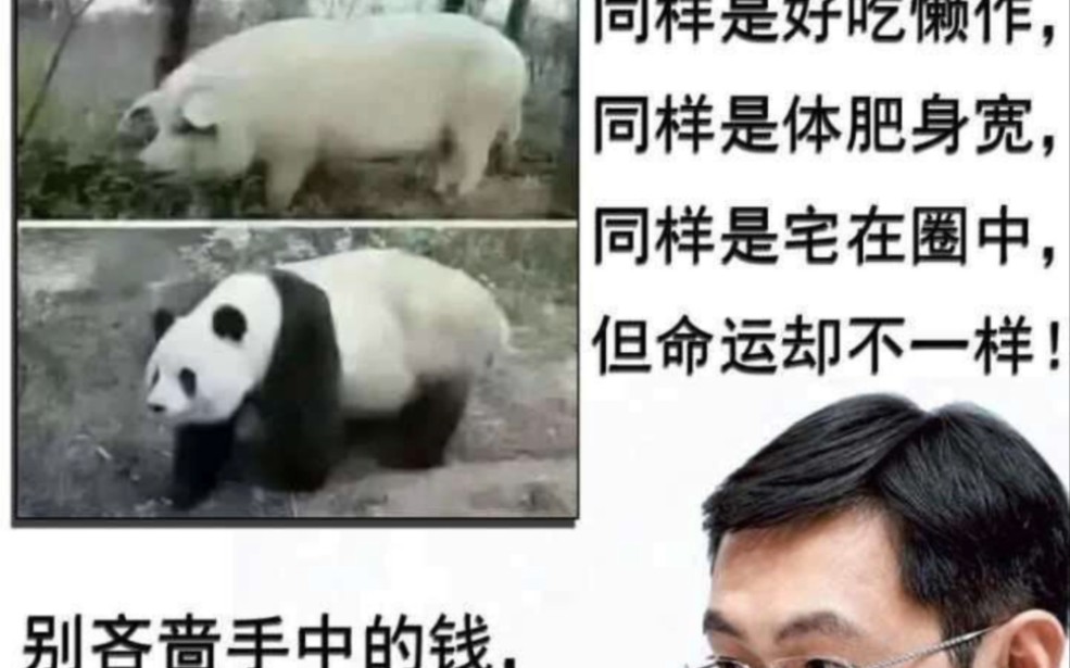 《网络热图》70哔哩哔哩bilibili