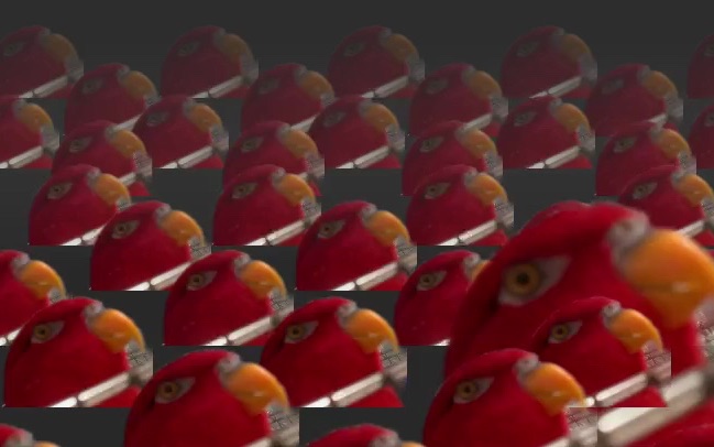 [图]Red birb🍅 X∞ Multiplies