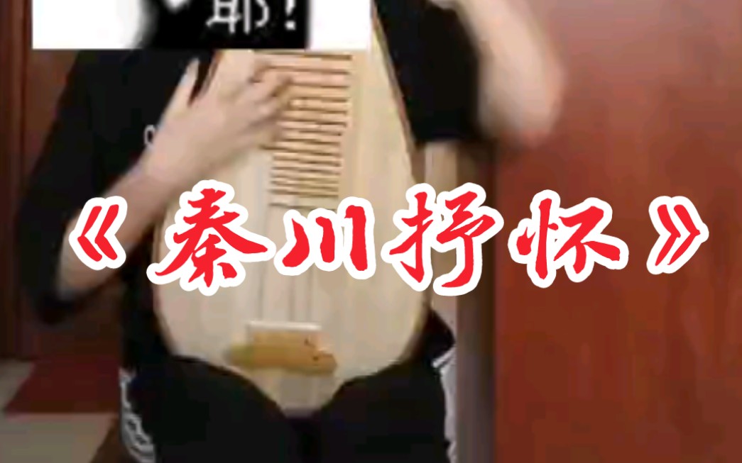 [图]【琵琶】秦川抒怀这首曲子有人知道吗？