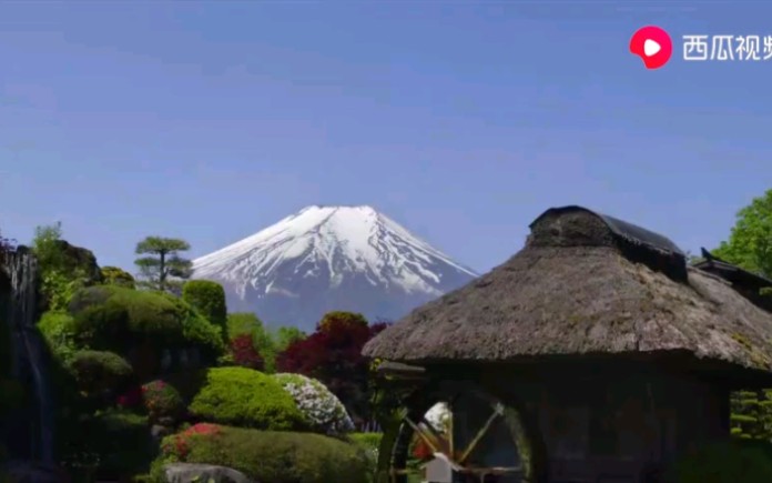 【世界遗产】《日本京都和富士山》(中日双语字幕)哔哩哔哩bilibili