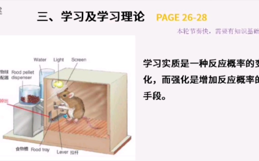 心理学 行为+认知学习理论3哔哩哔哩bilibili