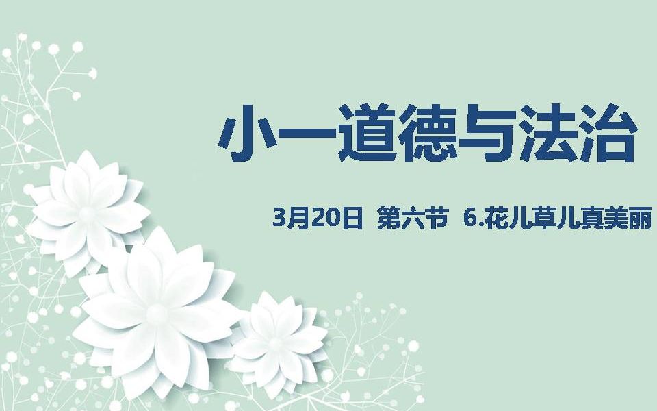 [图]小一道法03-20第六节 6.花儿草儿真美丽