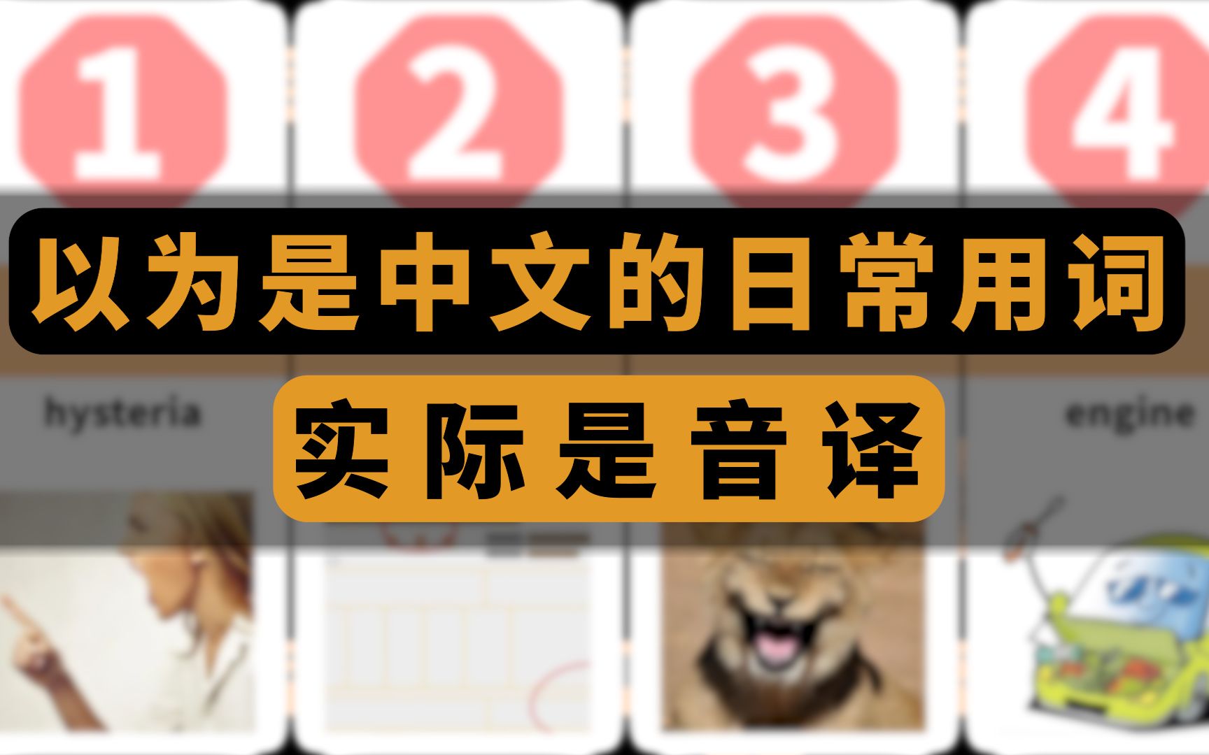 12个你以为是中文的日常用词,其实全是音译过来的哔哩哔哩bilibili