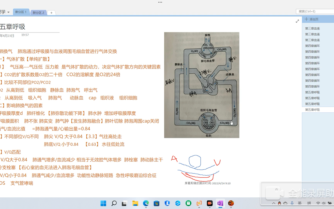 [图]生理学打基础：第五章呼吸，怎样理解各部分氧气和二氧化碳分压。