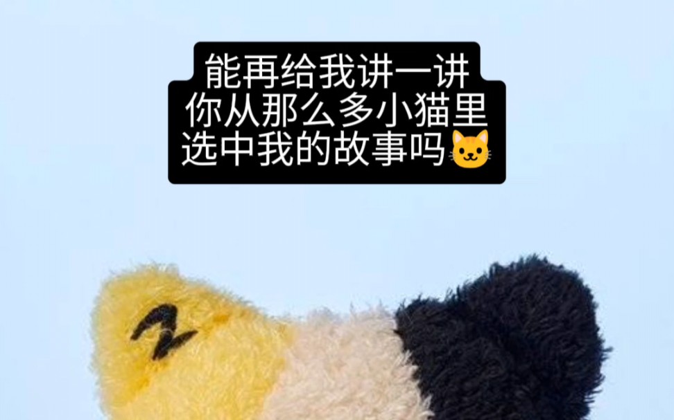 [图]【Ricky沈泉锐】赛时粉的碎碎念| 我的养猫日记| ricky520生日快乐| 伪猫meme