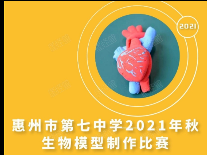 惠州市第七中学2021年秋生物模型制作比赛哔哩哔哩bilibili