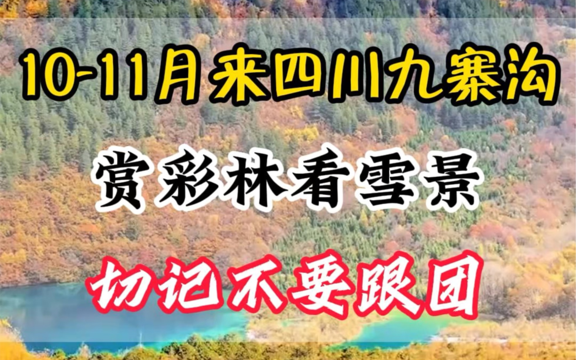 10月到11月来四川九寨沟不要跟团,跟我这样玩不仅可以赏秋季彩林,九寨沟的雪景也很美,行程可以这样安排哔哩哔哩bilibili