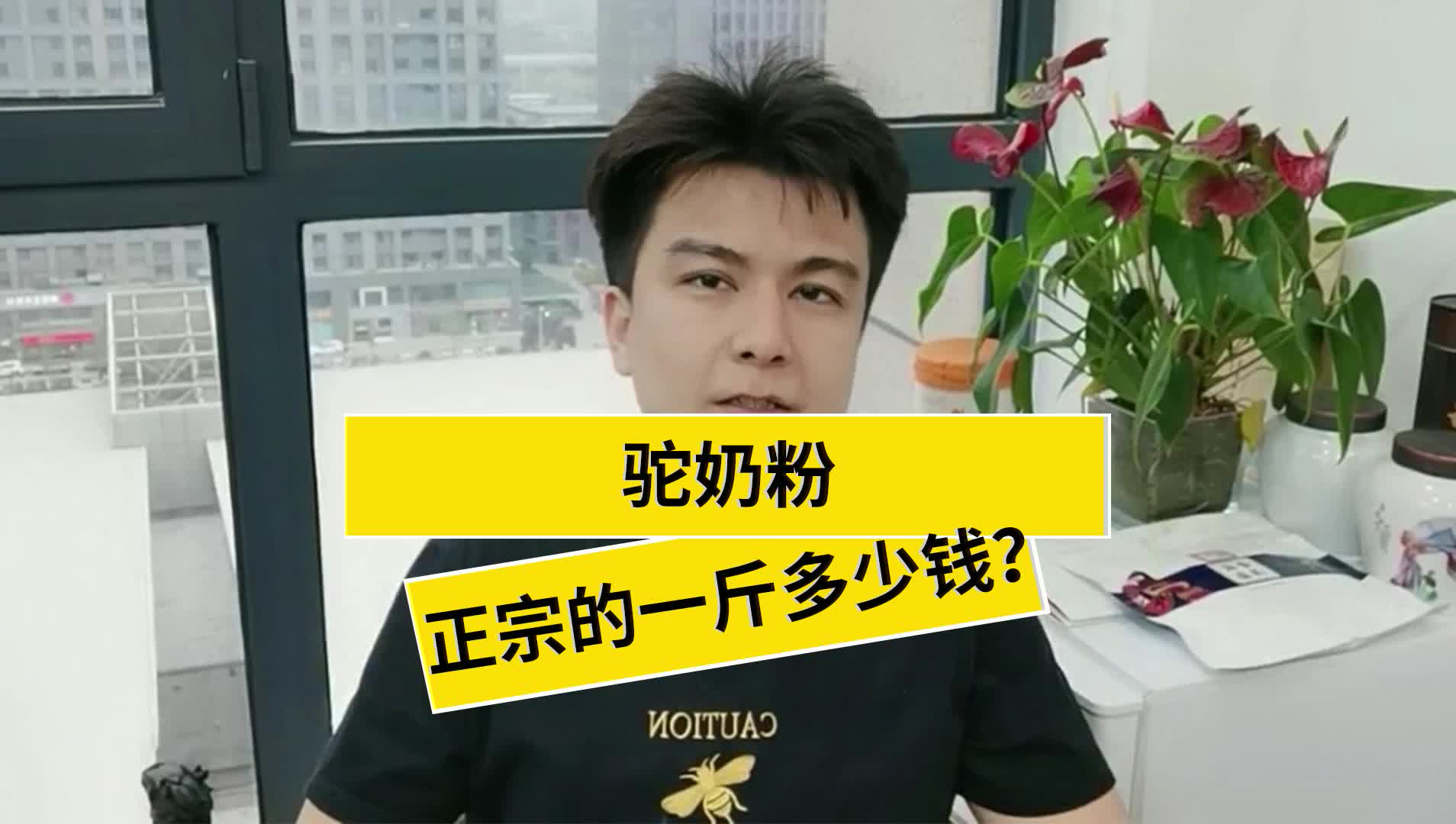 骆驼奶的价格:驼奶粉正宗的一斤多少钱?哔哩哔哩bilibili