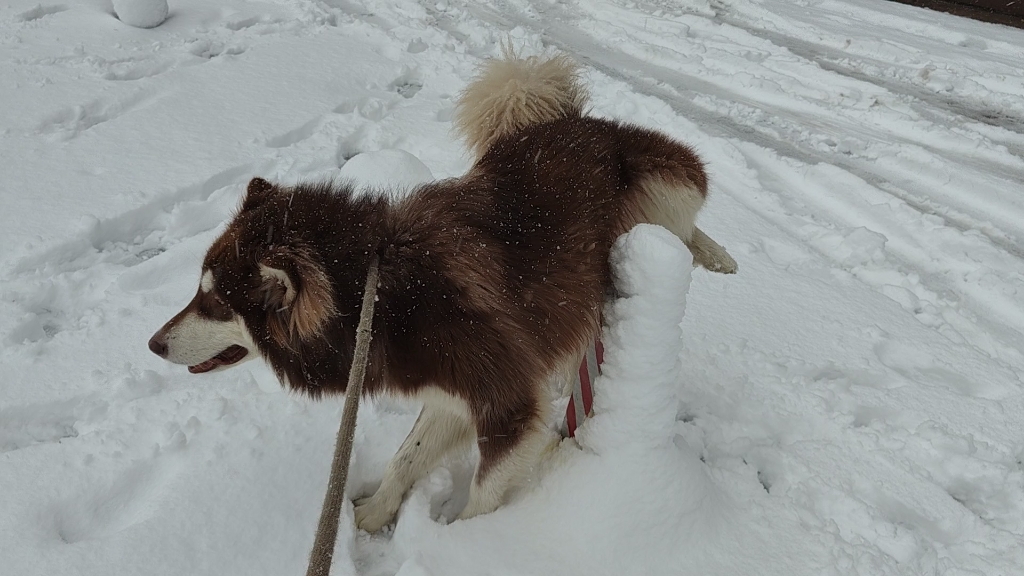 长沙下雪啦哔哩哔哩bilibili