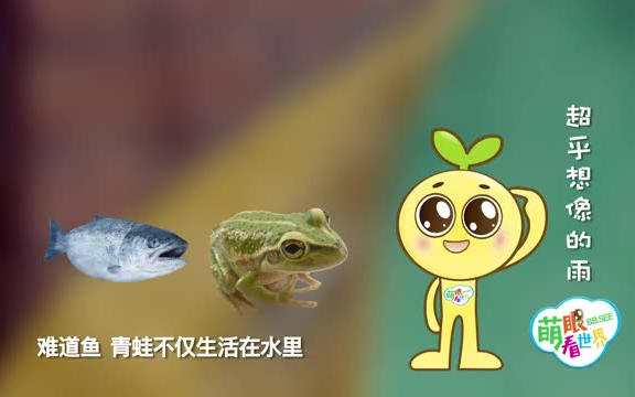 [图]146集全【萌眼看世界】生动有趣讲解生活百科知识 幼儿科普启蒙