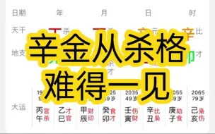 下载视频: 辛金，从杀，难得一见的格局