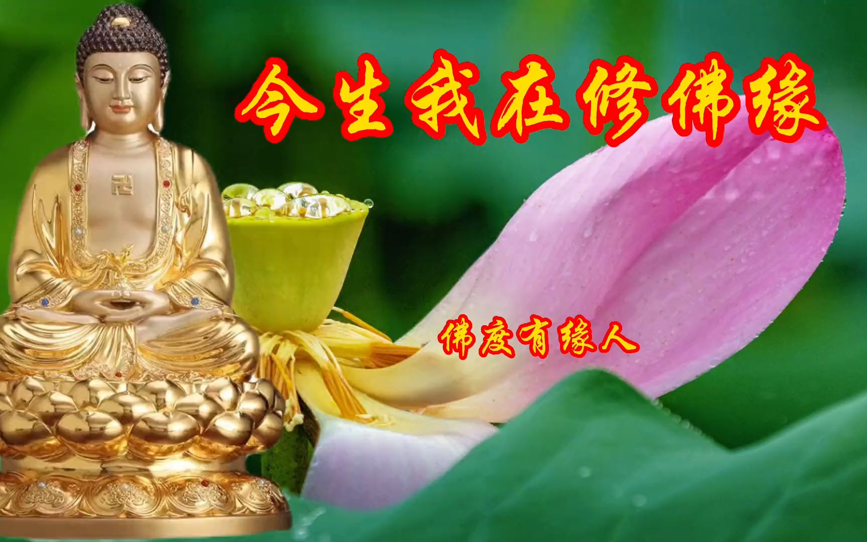 2023最美禅乐!听一首《今生我在修佛缘》,心静,心境,心净