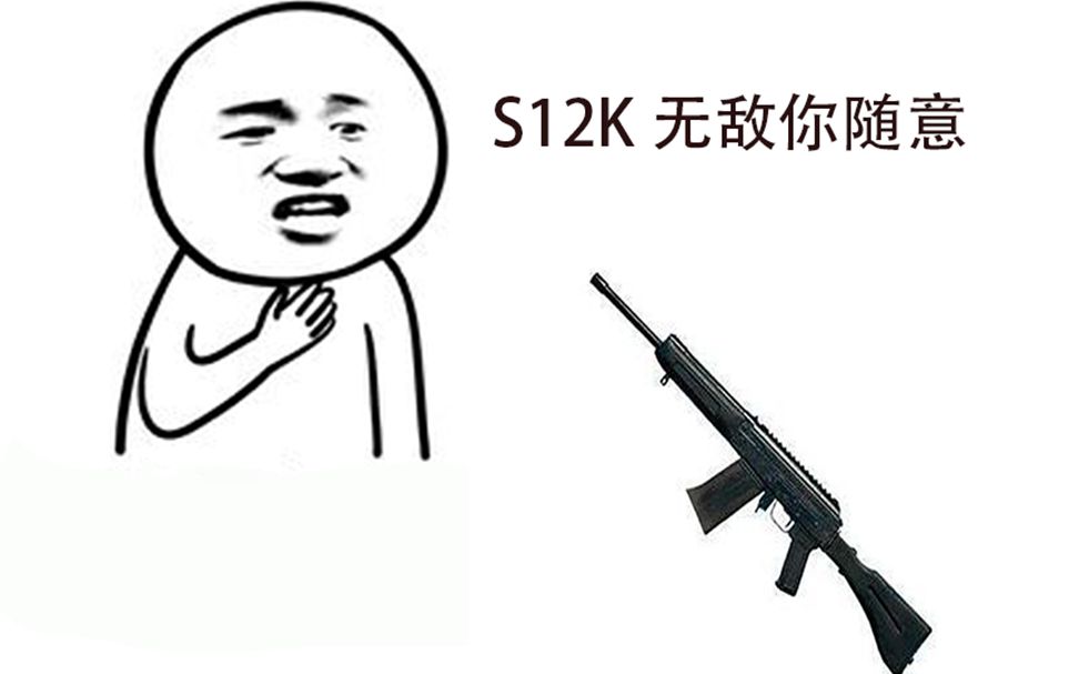 当你在团队竞技中使用s12k之后